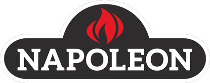 napoleon foyer gaz